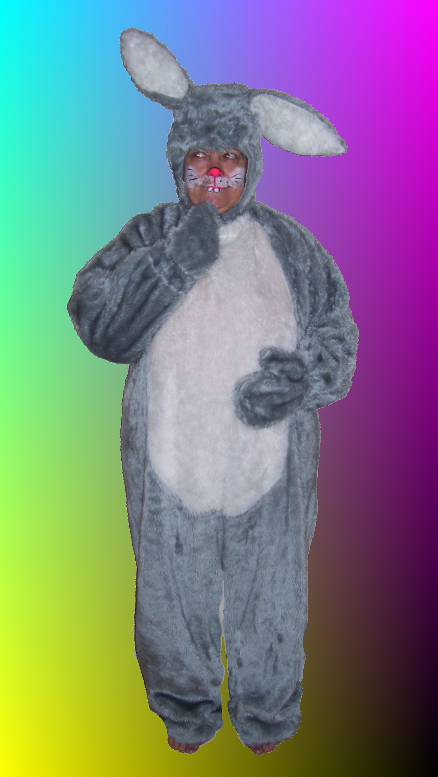 fancy dress hire, costume hire, fancy dress accessories